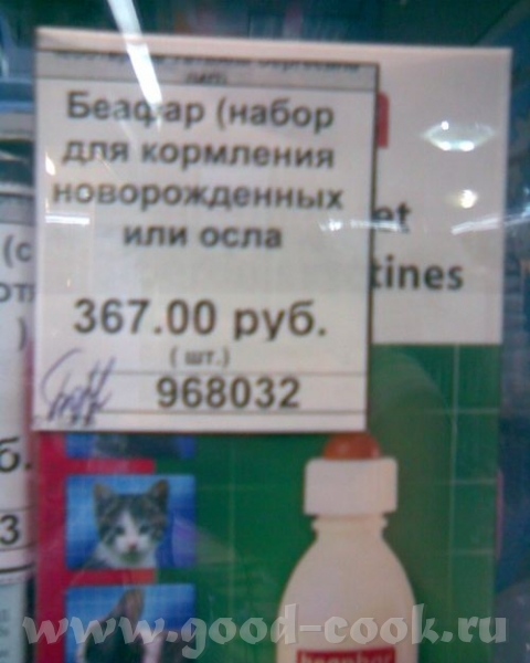 какая пазитивная фатаграфия