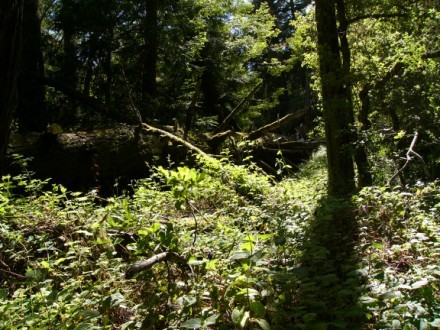         ,    ,  ,   - ... - 3