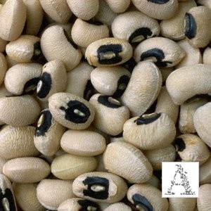 ,   :   " ",   -      ... - 2