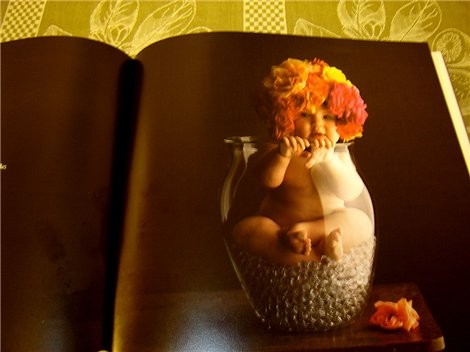    ,     Anne Geddes     - 4