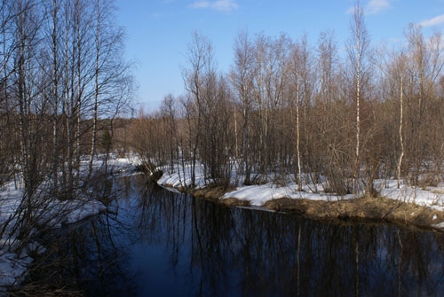 вот моя натура