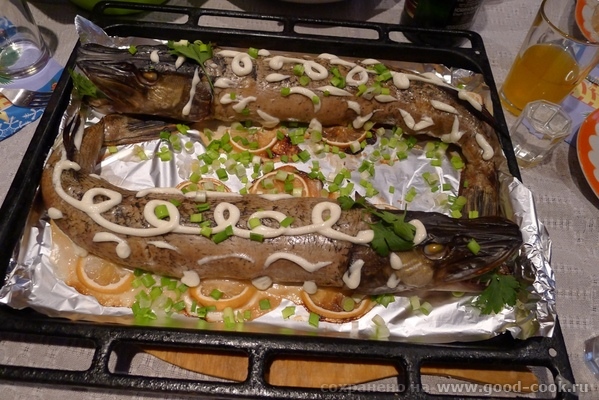 щука