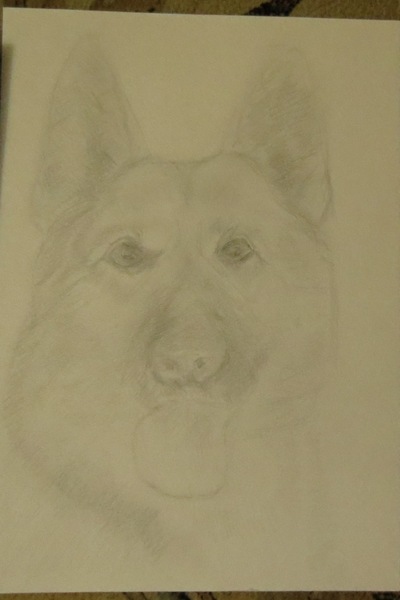 собака