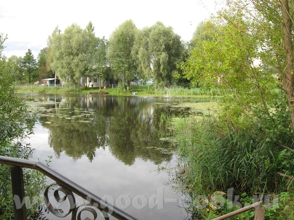 В лес мы едем через городок Логойск, 30 км от Минска - 6