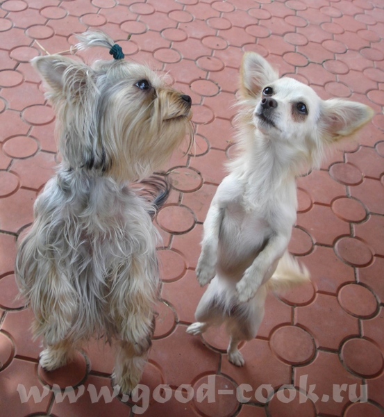 Вот