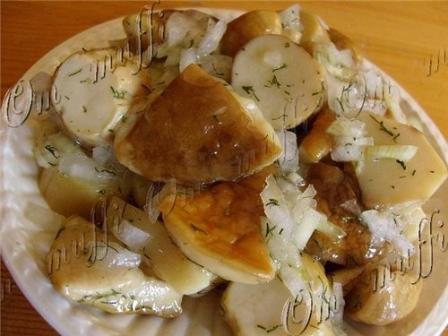 ГРИБЫ МАРИНОВАННЫЕ ОТ MUFFI ЗАКУСКА ИЗ МАРИНОВАННЫХ ГРИБОВ - 2