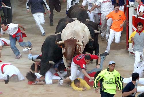 Несмотря ни на что праздники SAN FERMIN в Памплоне положили начало сезону коррид - 3