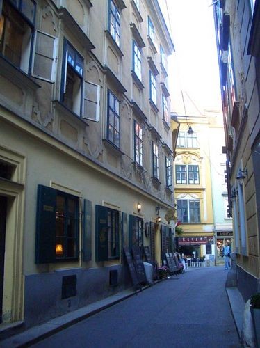 Когда-то я прочитала, что в Вене есть улица SCHONLATERNGASSE (улица Прекрасного фонаря) На ней снял... - 2