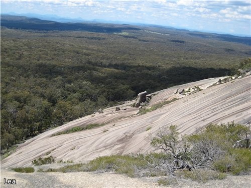 Мы все еще в Tenterfield, в New England Region - 2