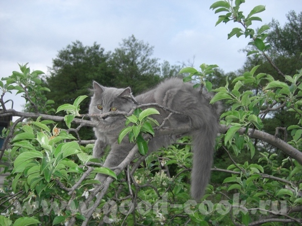Смотрите как у нас Кузя подрос