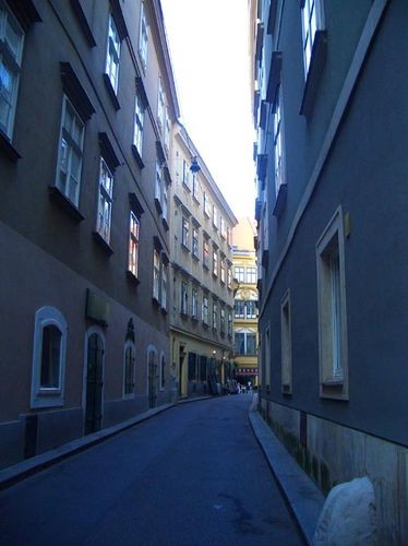 Когда-то я прочитала, что в Вене есть улица SCHONLATERNGASSE (улица Прекрасного фонаря) На ней снял...