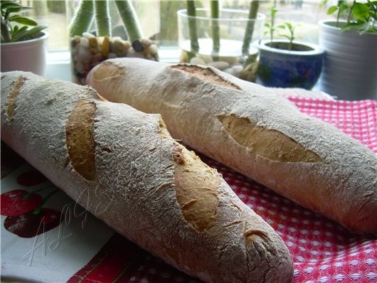 Каникулы пролетели, пора заняться делом