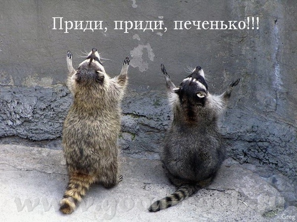 Ой,чё то вкусненького хочеться