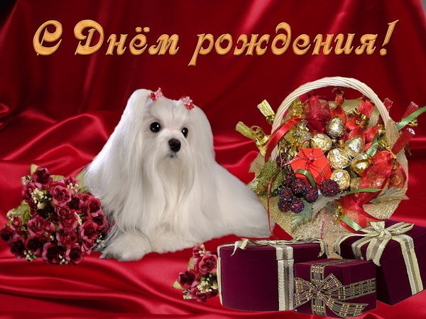 поздравление