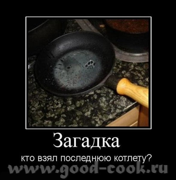 да вот вопрос срочный- котов хто кормил в последний раз