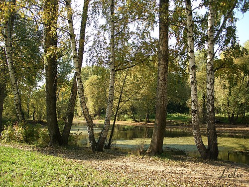 Кусковский парк - 2