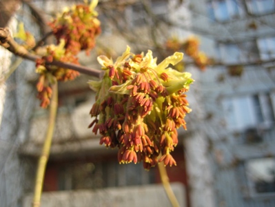Привет, девули - 4