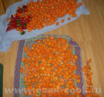 Я сёдня "золушка"