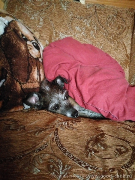 Гроза