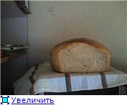 проба