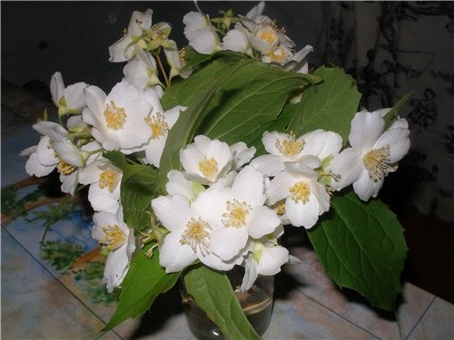 , Лариса С Днём Рождения