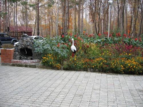 А это уже на берегу здесь же живут вот такие мишки Красиво