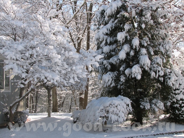 Winter Wonderland - 3