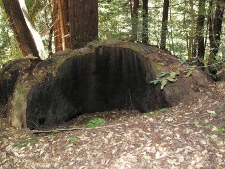         ,    ,  ,   - ... - 2