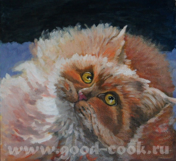кошка
