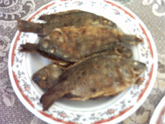  ,    ,   ,    ... - 3