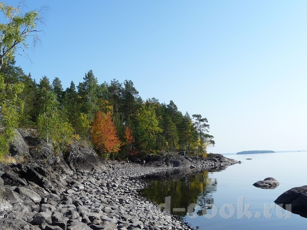 озеро Пиелинен Финляндия озеро Янисярви Карелия Озеро Глубокое Сосновый бор очень прозрачное бухта... - 2