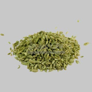 Укроп - dill, &#1588;&#1576;&#1579;, &#1588;&#1576;&#1579; &#1588;&#1614;&#1576;&#1614;&#1579;, &#1... - 2
