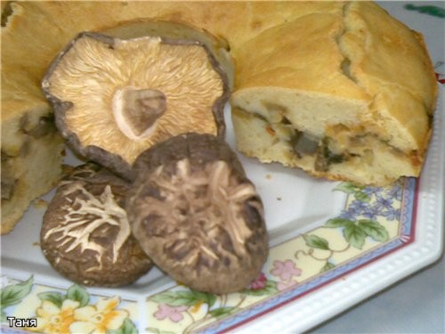 Бабка с грибами и мангольдом Пицца с тунцом и овощами Пирог с курицей и картофельным пюре