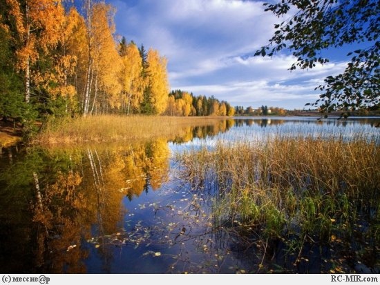 Привет всем
