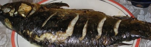 Катя, принесла тебе большое спасибо за вкусную рыбку - 2