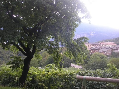 ...-  . ,  a ...   .    ,  ...