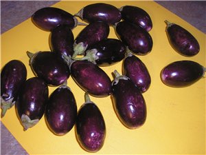 Елка-Оленька, Настюш, Лаурчик, Танюш, Леночка