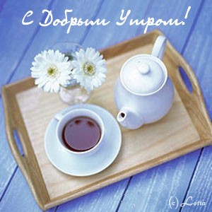 Обязательно подружимся