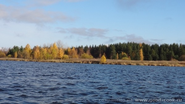 река