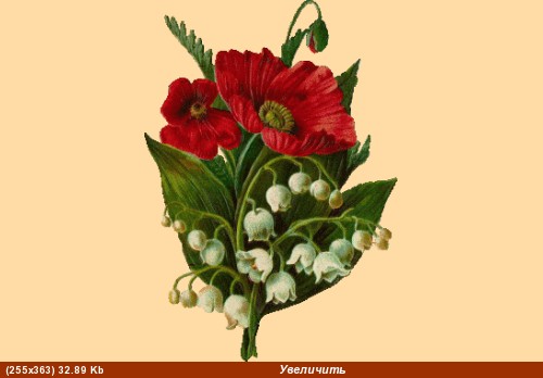 ,Люсенька - 3