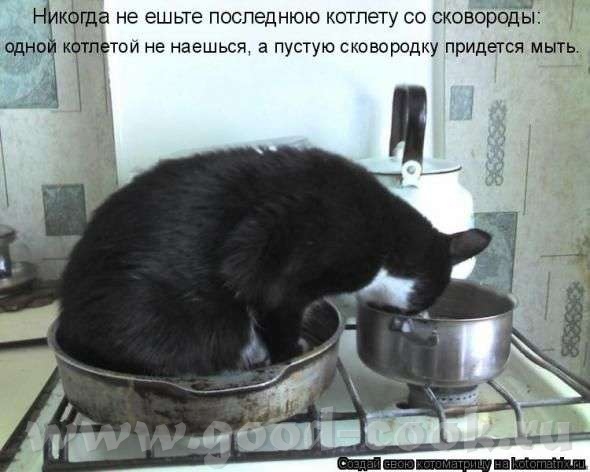 С переездом нас, девицы-красавицы - 2