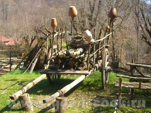 такая вот пушистая курочка уточка Потапыч Дичь Из окна отеля - 5