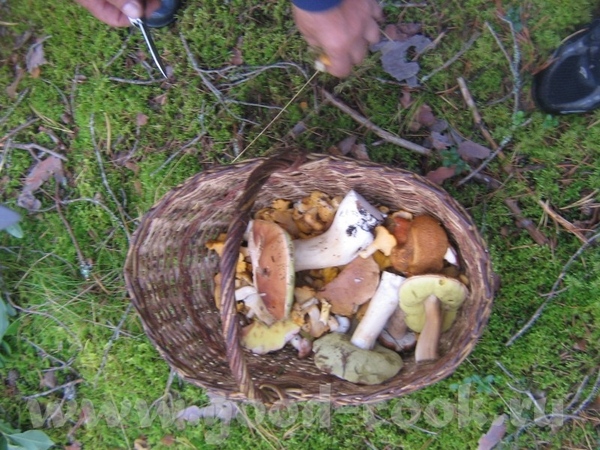 ну вот и я могу теперича свое счастье выставить))) 1 сентября - 7