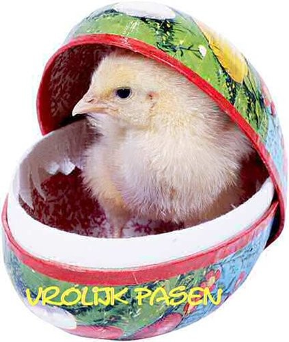 Нелличка , поздравляю тебя с праздником Пасхи