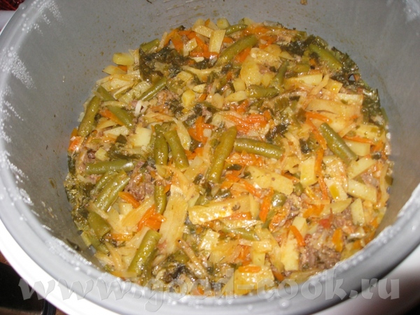 Я сегодня готовила Овощи тушеные с мясом