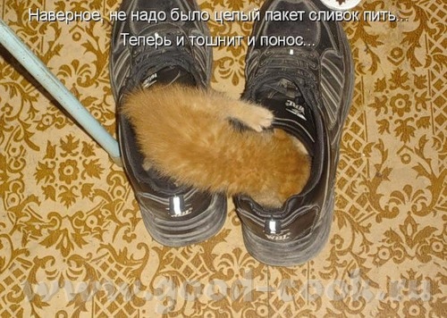 Фу, Олька, слава Богу -ребенок цел