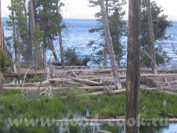    "Grand Teton"  &#39;  "Yellowstone" - 5