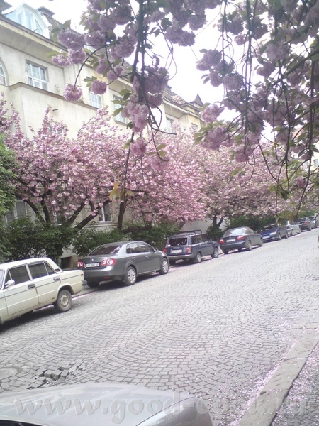 Девочки, приветики - 2