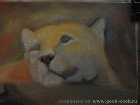 показ