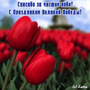 Поздравляю всех с Праздником Победы